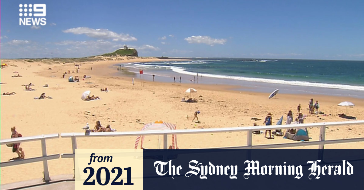 Video Beach closed due to possible shark threat